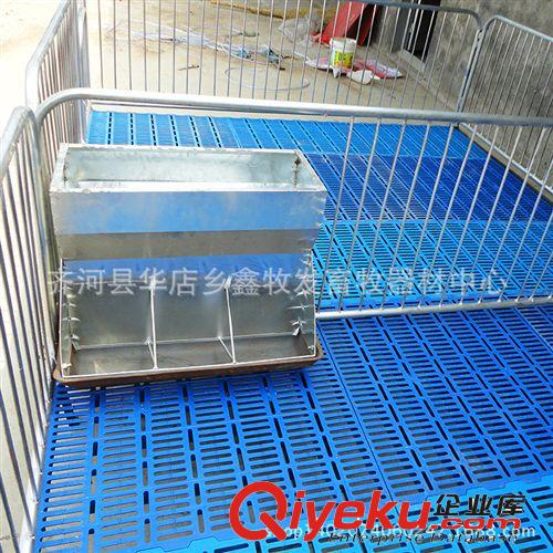 供應養豬設備豬用雙體保育床 仔豬保育欄 歡迎來電洽談【圖】原始圖片2