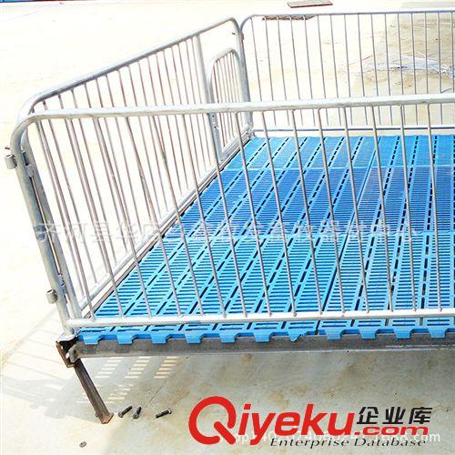 供應養豬設備 保育床 質量{dy} 顧客至上 歡迎來電咨詢！【圖】原始圖片3