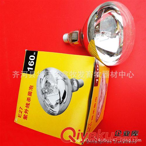 取暖燈/硬質防水防爆紅外線燈泡 養殖器械 歡迎來電咨詢【圖】原始圖片3