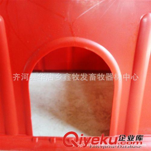 供應養豬設備保溫箱 豬用新型塑料保溫箱 歡迎來電咨詢【圖】原始圖片3