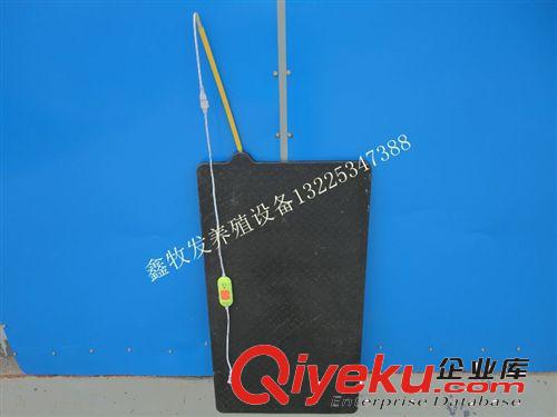 供應豬用玻璃鋼保溫板，批發電熱板仔豬用加厚型50*90電熱板，