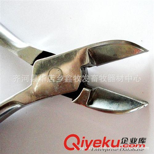 供應養殖設備器械 豬用不銹鋼剪牙鉗 歡迎來電洽談【圖】原始圖片2