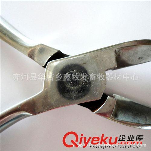 供應養殖設備器械 豬用不銹鋼剪牙鉗 歡迎來電洽談【圖】原始圖片3