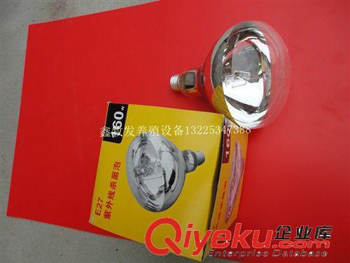 數字顯示干濕溫度計 電子干濕溫度計 家用