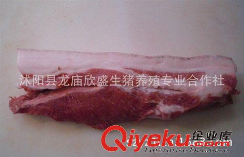 黑土豬肉散養有機土豬肉 原生態自然生長 肉中精品享gd品質