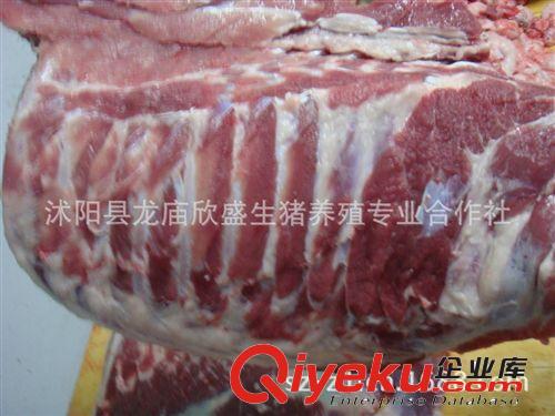 黑土豬肉散養有機土豬肉 原生態自然生長 肉中精品享gd品質