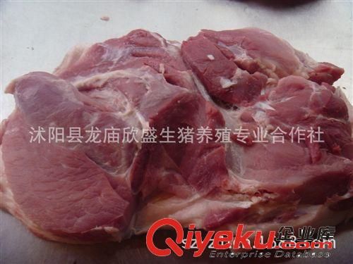 笨豬肉 蘇太豬肉生態(tài)養(yǎng)殖 土豬肉有機黑豬肉是綠色健康的美味選擇