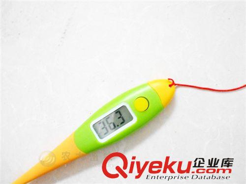 獸用快速電子體溫計測溫儀/貓狗寵物測溫快速電子體溫計 獸用器械原始圖片3