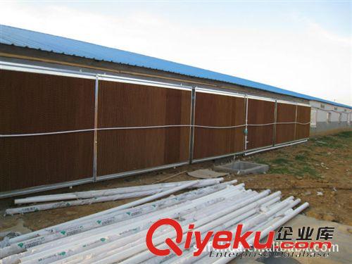 畜禽舍降溫水簾，溫室大棚降溫濕簾，專業生產濕簾紙廠家直銷產品原始圖片3