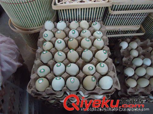 濟(jì)寧 土鳳凰 自產(chǎn)自銷  散裝綠殼烏雞蛋原始圖片2