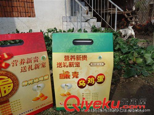 綠殼烏雞蛋    禮盒