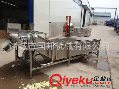 網(wǎng)帶式清洗機(jī)-菠菜清洗機(jī)-果蔬清洗機(jī)原始圖片2