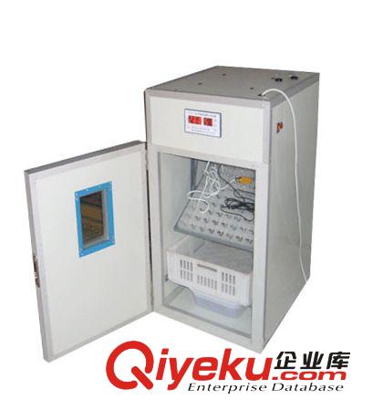 528枚小雞孵化出雛育雛三用機(jī)孵化出雛一體機(jī)多功能孵化機(jī) 包郵