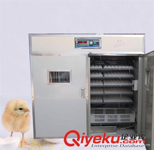 1584枚鴿子孵卵器、肉食雞孵化器、蛋雞孵化機、孵化設備、孵蛋箱原始圖片2