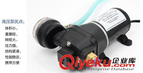藍貝兒NE-310A水泵 車載便攜式12V120W電動洗車機洗車器洗車水泵原始圖片3