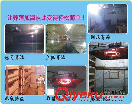 育雛保溫器(專業版)/加溫換氣一體原始圖片3