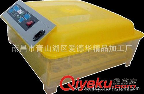新型小型孵化機 微型孵化機 48枚全自動孵化機廠家直供量大從優原始圖片2