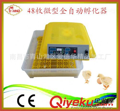 家用小型孵化機全自動微型孵化器鴿子孵蛋器 雞鴨鵝孵化箱
