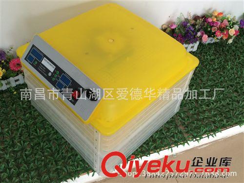 2014年小型孵化機(jī)全自動(dòng)96枚微型孵化器鴿子孵蛋器 雞鴨鵝孵化箱原始圖片3