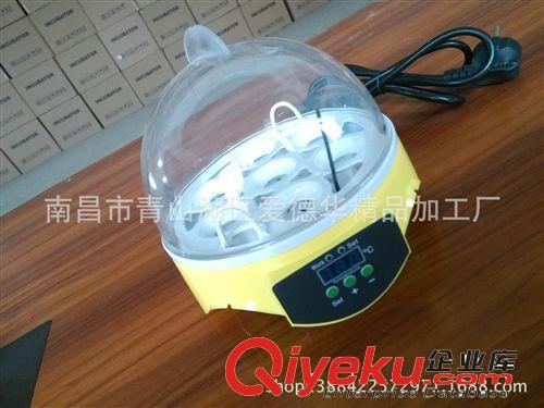 孵蛋器 迷你型學校實驗孵蛋器 便于學生觀察孵化全過程智能孵蛋機