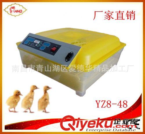 孵蛋器 迷你型學(xué)校實(shí)驗(yàn)孵蛋器 便于學(xué)生觀察孵化全過程智能孵蛋機(jī)