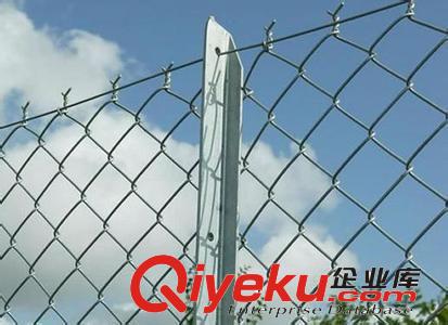 專業生產勾花網廠家
