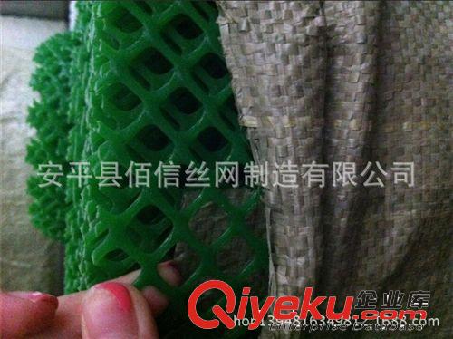 （生產(chǎn)廠家）塑料平網(wǎng)原始圖片3