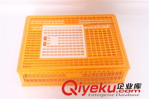 C型釘槍  養殖設備 氣動C型槍 綁籠氣槍 打釘槍