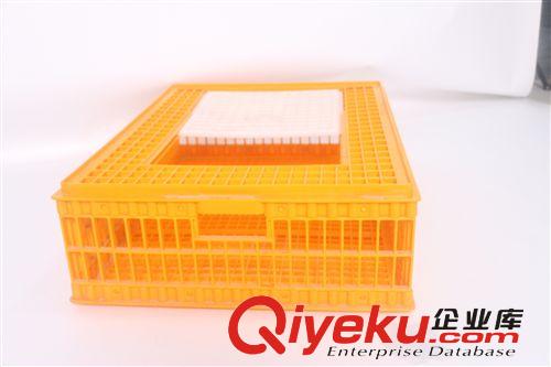 鴿子運籠  養殖設備 鴿用轉運籠  鴿子用品 拼裝易攜帶原始圖片2