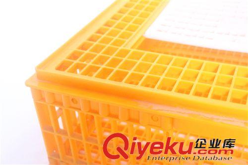 鴿子運籠  養殖設備 鴿用轉運籠  鴿子用品 拼裝易攜帶原始圖片3