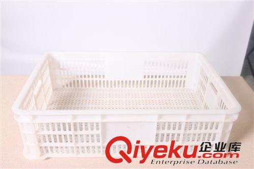 帶跳板膠蛋盆  養(yǎng)殖設(shè)備