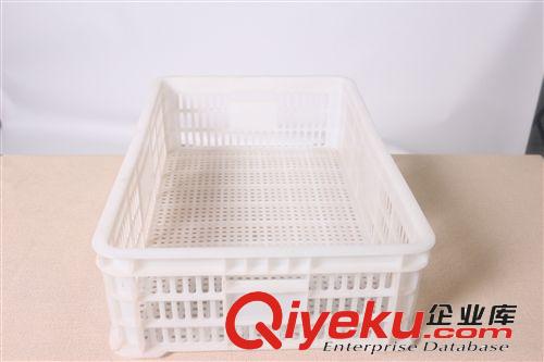 鴿子或小雞轉運箱  活雞轉運籠  家禽運輸籠原始圖片2