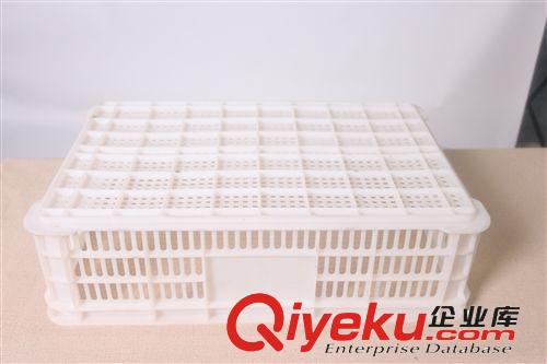 鴿子或小雞轉運箱  活雞轉運籠  家禽運輸籠原始圖片3