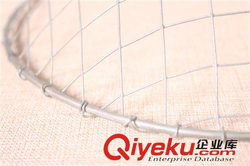 鴿用孵化元蛋盆 鐵制圓形蛋盆 堅(jiān)固耐用原始圖片3