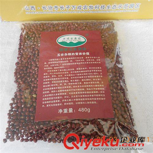 【萬成生態(tài)】專業(yè)禽類養(yǎng)殖  優(yōu)質源頭散養(yǎng)雞 綠色生態(tài)養(yǎng)殖基地