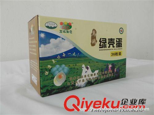 【萬成生態(tài)】專業(yè)禽類養(yǎng)殖 烏雞綠殼雞蛋 綠色生態(tài)基地原始圖片2