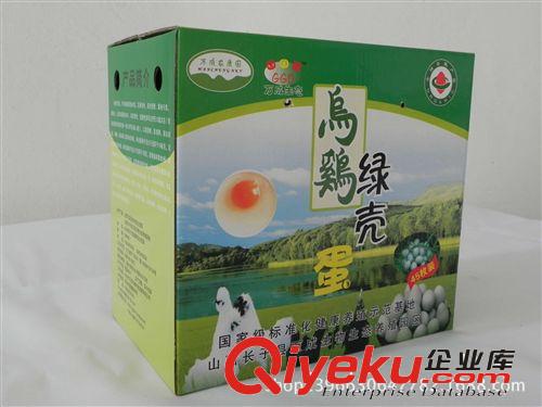 【萬成生態(tài)】專業(yè)禽類養(yǎng)殖 烏雞綠殼雞蛋 綠色生態(tài)基地原始圖片3
