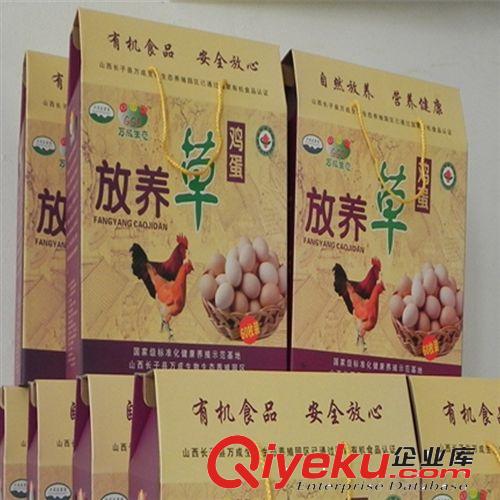 【萬成生態】專業禽類養殖  優質放養草雞蛋 綠色生態養殖基地原始圖片3