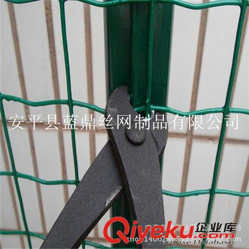 美觀防腐蝕養(yǎng)殖荷蘭網(wǎng) 優(yōu)良浸塑電焊網(wǎng) 涂塑焊接鐵絲網(wǎng)