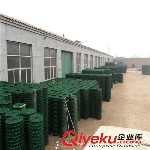 養殖包塑鐵絲網 涂塑荷蘭網 綠色包塑電焊網 果園圍網