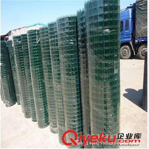 現(xiàn)貨優(yōu)質(zhì)養(yǎng)殖荷蘭網(wǎng) 優(yōu)良浸塑荷蘭網(wǎng) 圈山圍地荷蘭網(wǎng)原始圖片2
