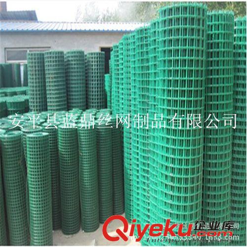 波浪形園林荷蘭網 PVC涂塑荷蘭網 養殖山雞用荷蘭網原始圖片3