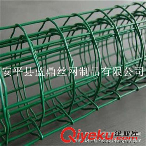 牧場養(yǎng)殖涂塑電焊網(wǎng) 包塑護欄網(wǎng)荷蘭網(wǎng)原始圖片2