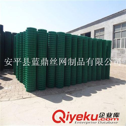 現貨供應1.5米高荷蘭網養殖網 圈地涂塑電焊網