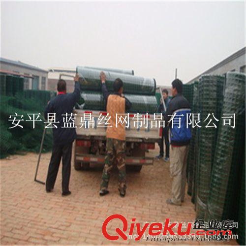 現貨供應1.5米高荷蘭網養殖網 圈地涂塑電焊網原始圖片3
