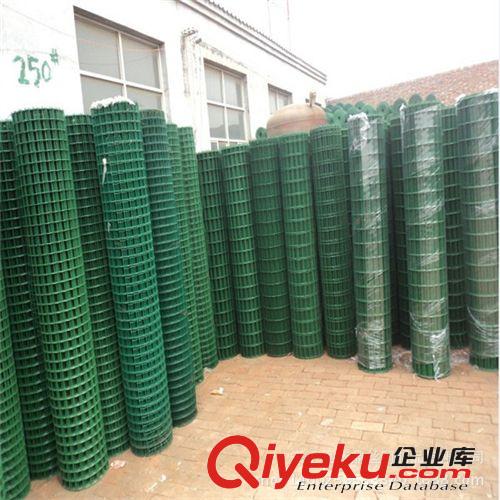 圈地圍山養(yǎng)殖網(wǎng) 優(yōu)良荷蘭涂塑焊接網(wǎng) 養(yǎng)殖專用電焊網(wǎng)原始圖片3