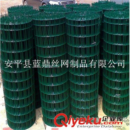 果園包塑荷蘭網(wǎng) 花園防護鐵絲網(wǎng) 菜園圍網(wǎng)電焊網(wǎng)