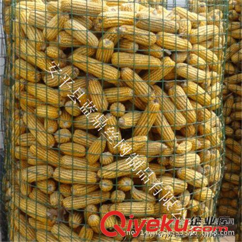 果園包塑荷蘭網(wǎng) 花園防護鐵絲網(wǎng) 菜園圍網(wǎng)電焊網(wǎng)原始圖片3