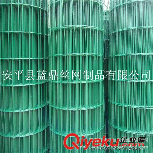 波浪形園林荷蘭網(wǎng) PVC涂塑荷蘭網(wǎng) 養(yǎng)殖山雞用荷蘭網(wǎng)原始圖片2