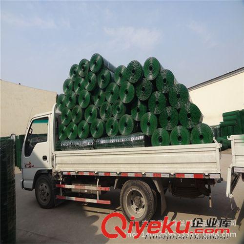 tj直銷養(yǎng)殖荷蘭網(wǎng) 小區(qū)隔離網(wǎng) 涂塑電焊網(wǎng) 鐵絲網(wǎng)原始圖片3